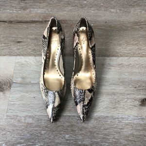 BCBGirls Brown Snakeprint Heels, Size 6.5